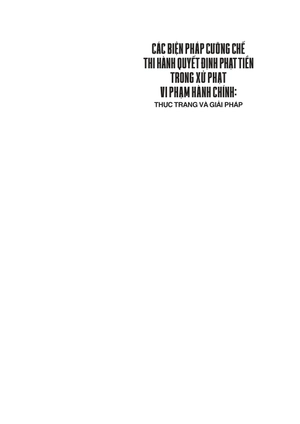 các biện pháp cưỡng chế thi hành quyết định phạt tiền trong xử phạt vi phạm hành chính: thực trạng và giải pháp - Ảnh 4