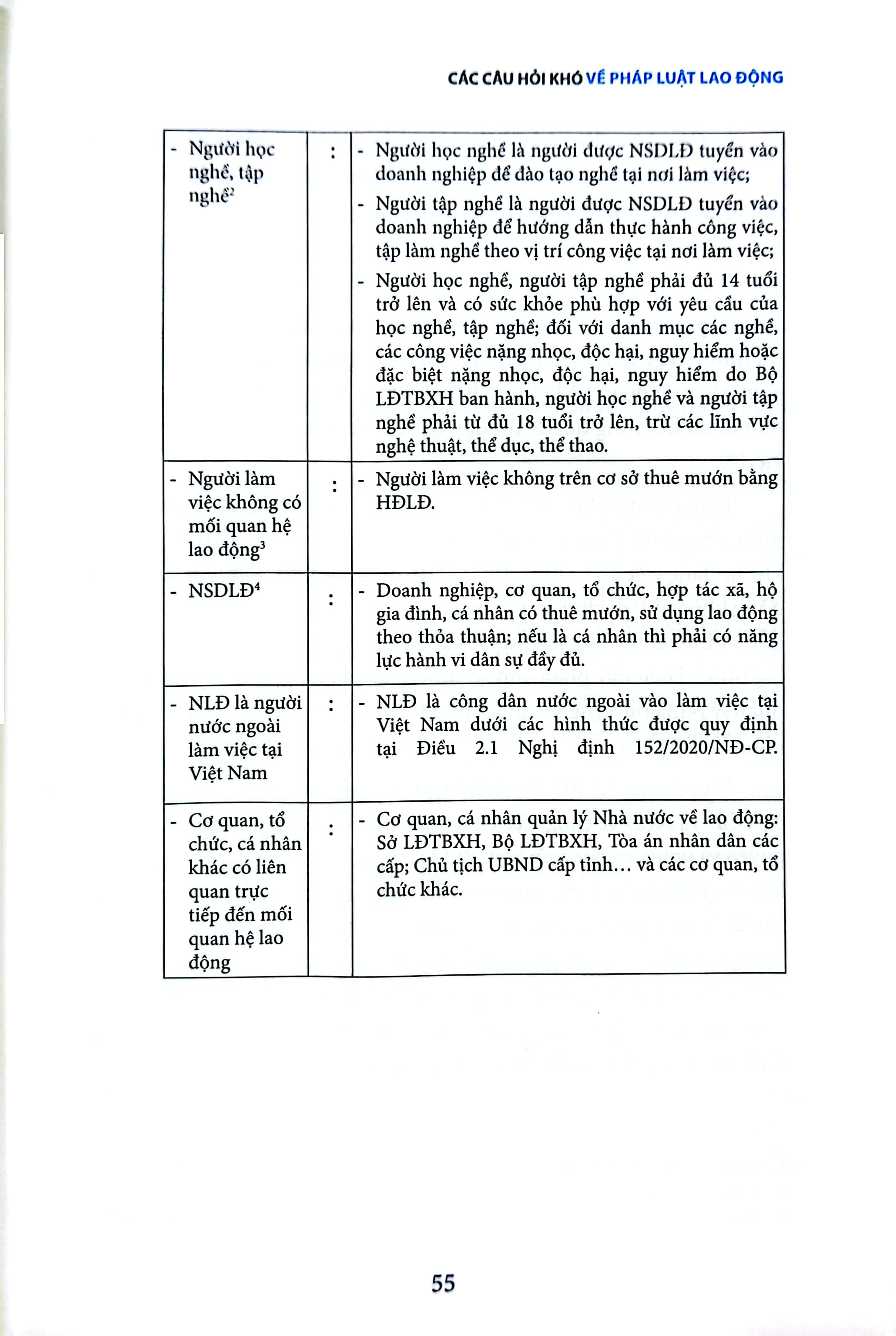 các câu hỏi khó về pháp luật lao động - Ảnh 8