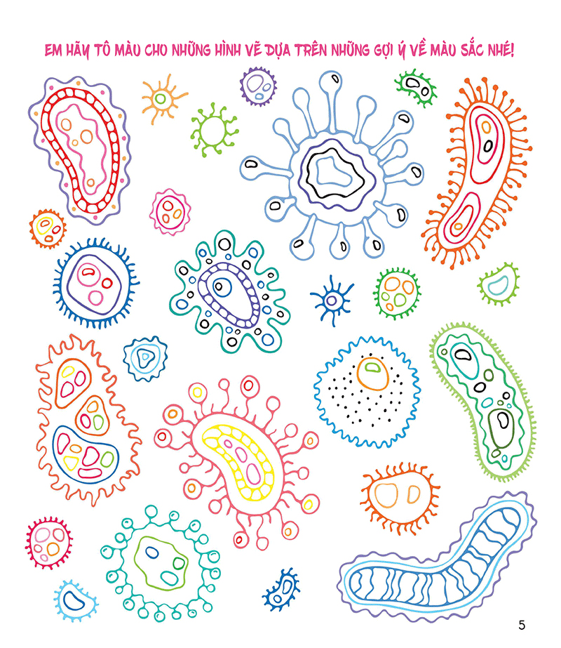 các hoạt động và trò chơi về virus và vi khuẩn - Ảnh 5