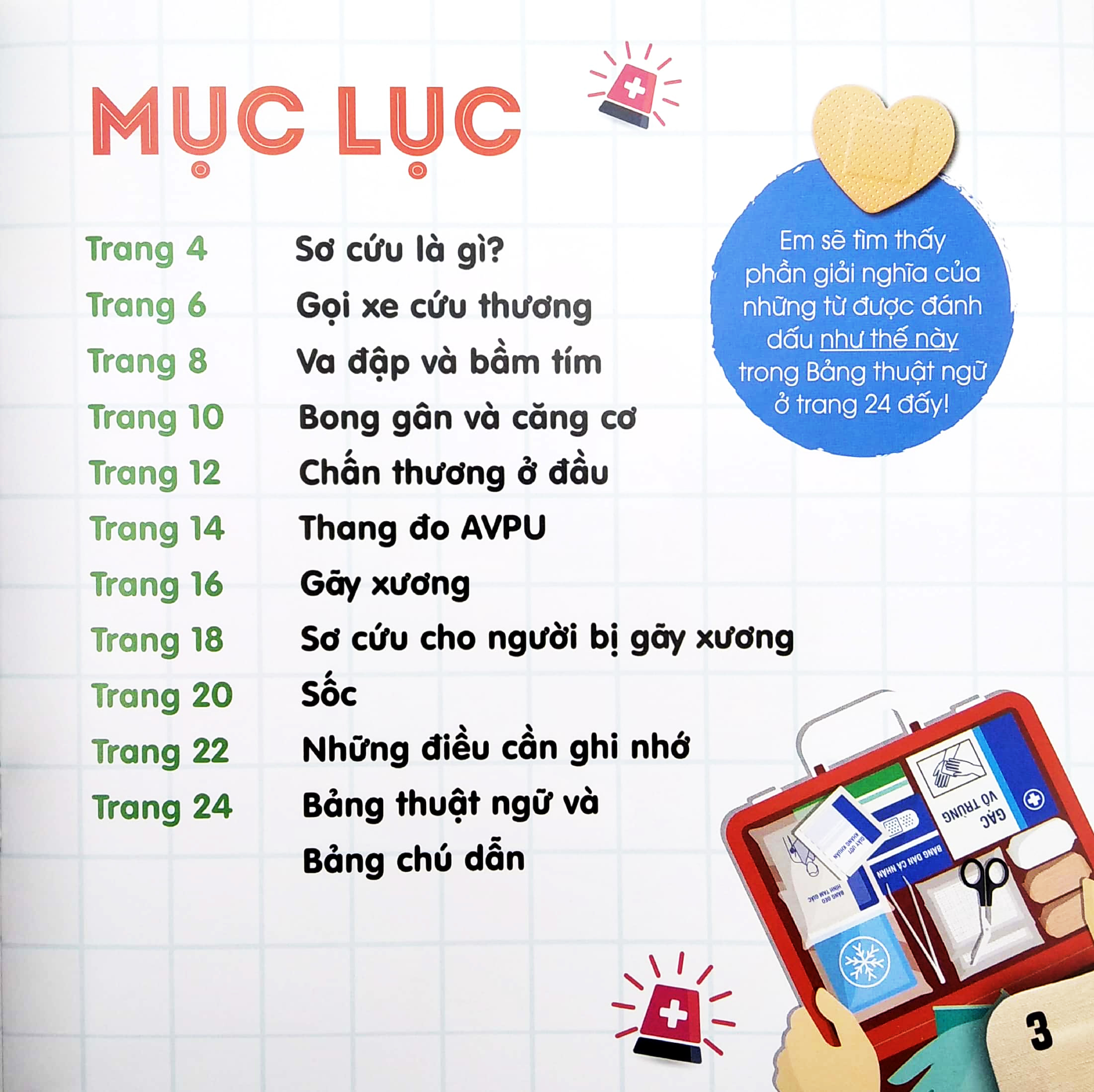 các kỹ năng sơ cứu cơ bản - va đập và gãy xương - Ảnh 3