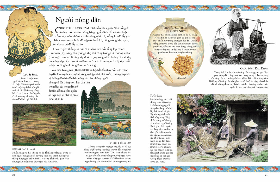 các nền văn minh thế giới - nhật bản cổ đại - Ảnh 6