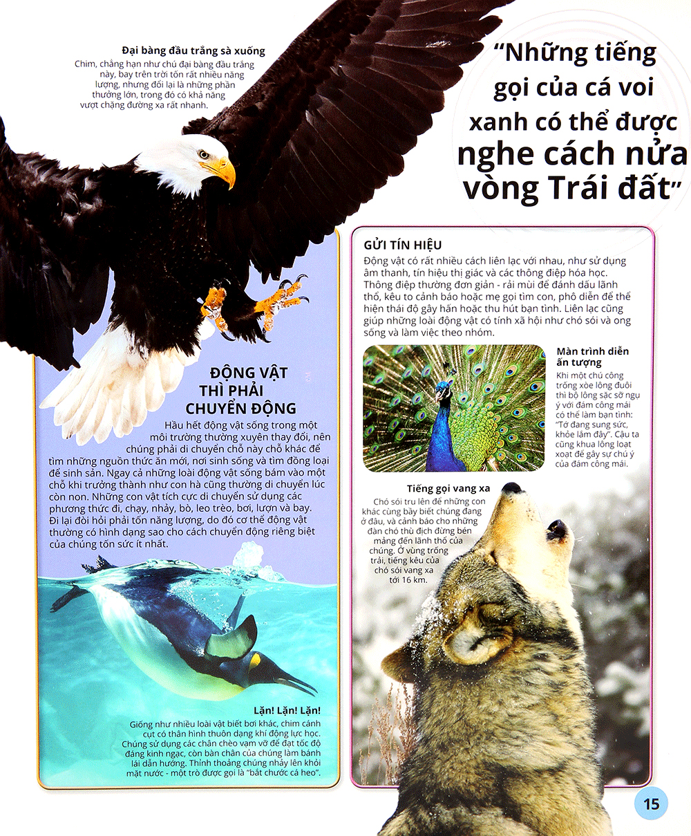 các siêu sao trong giới động vật - Ảnh 14