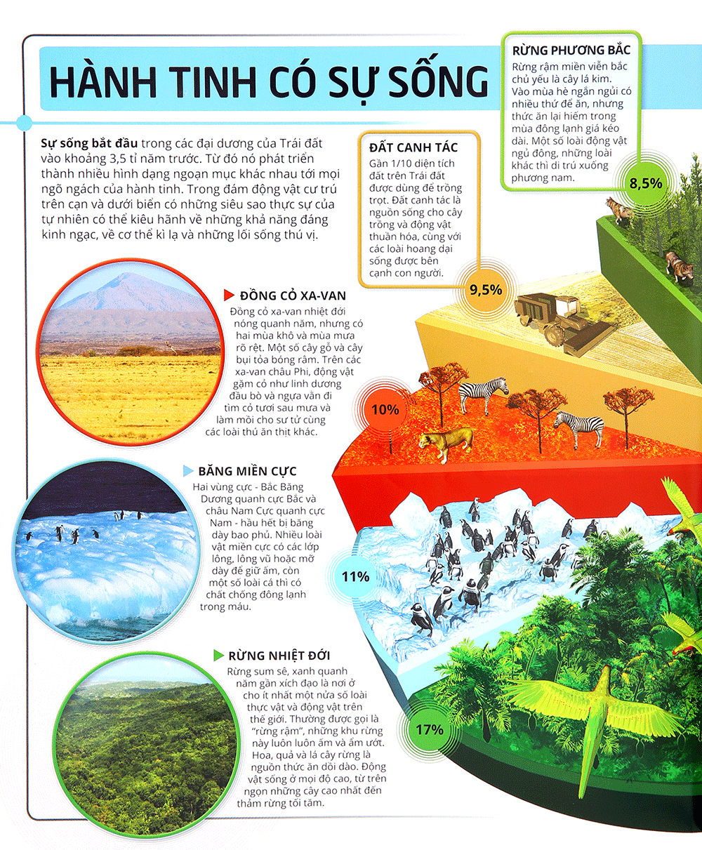 các siêu sao trong giới động vật - Ảnh 5