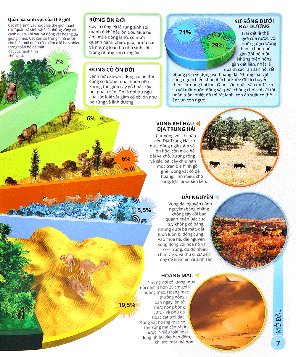 các siêu sao trong giới động vật - Ảnh 6