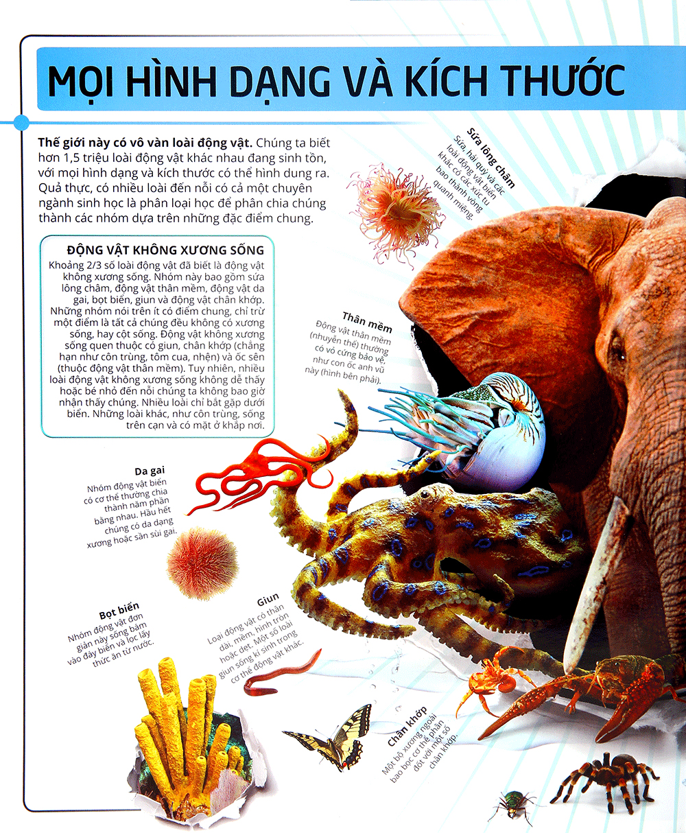 các siêu sao trong giới động vật - Ảnh 7