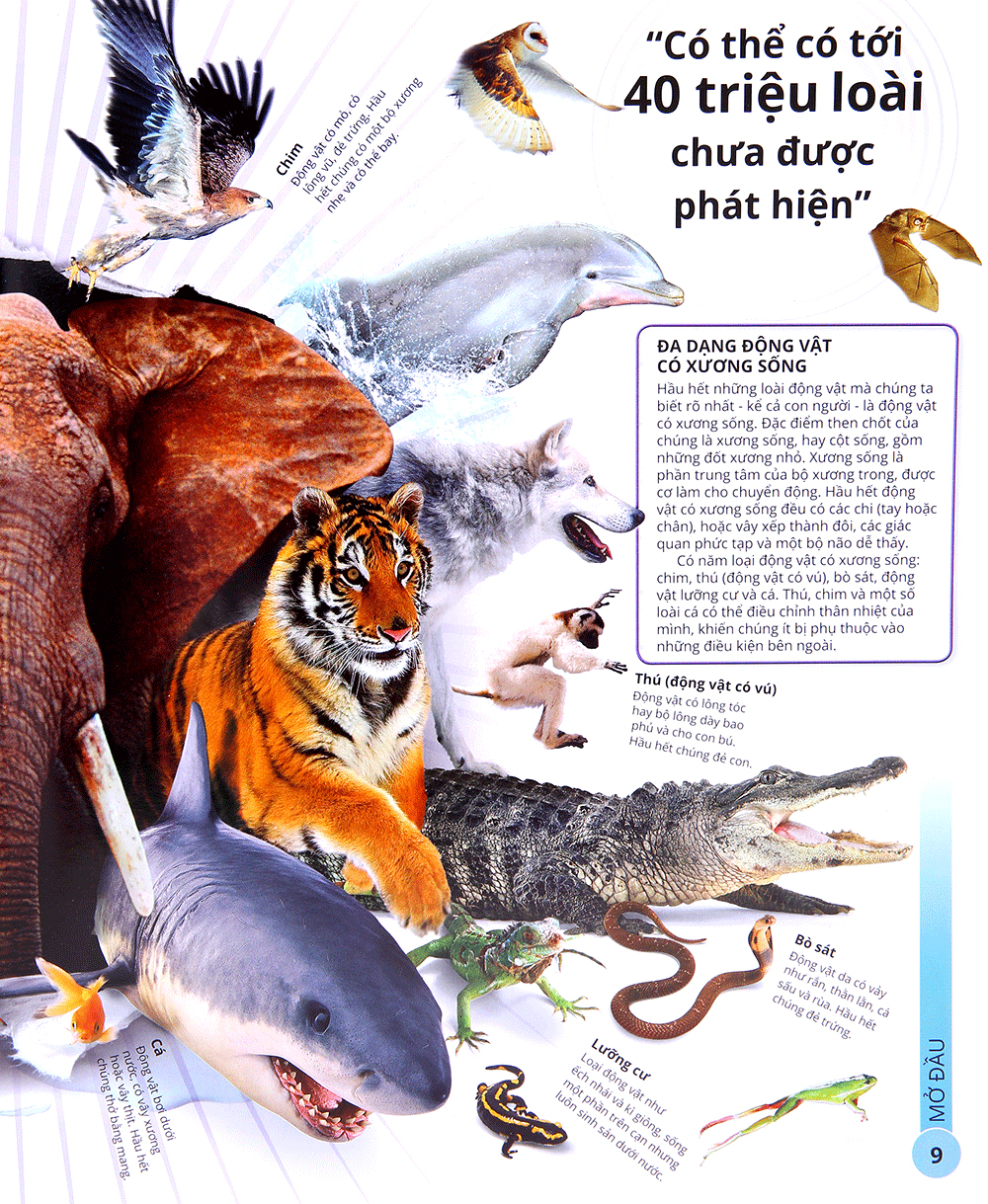 các siêu sao trong giới động vật - Ảnh 8