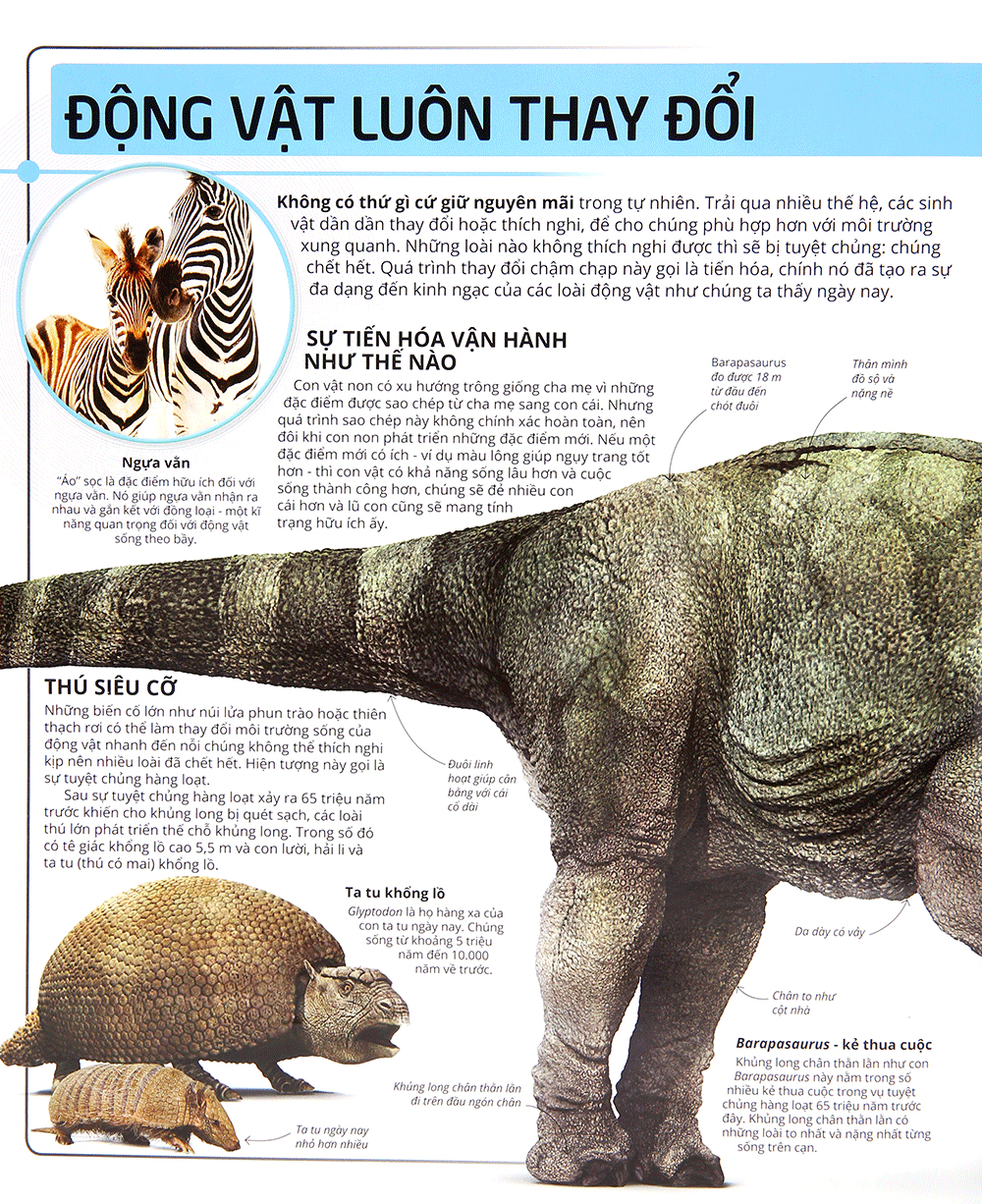 các siêu sao trong giới động vật - Ảnh 9