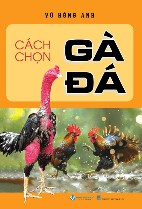 Cach Chon Ga Da (Tai Ban 2025) - Ảnh 2