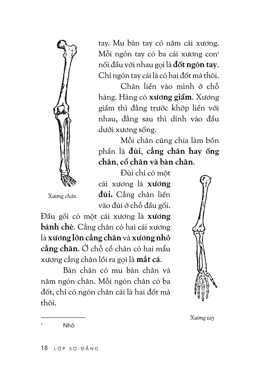 cách trí giáo khoa thư - Ảnh 14