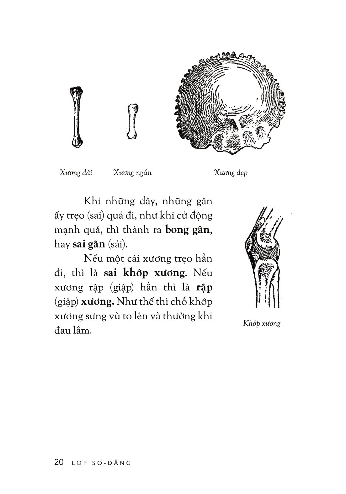 cách trí giáo khoa thư - Ảnh 16