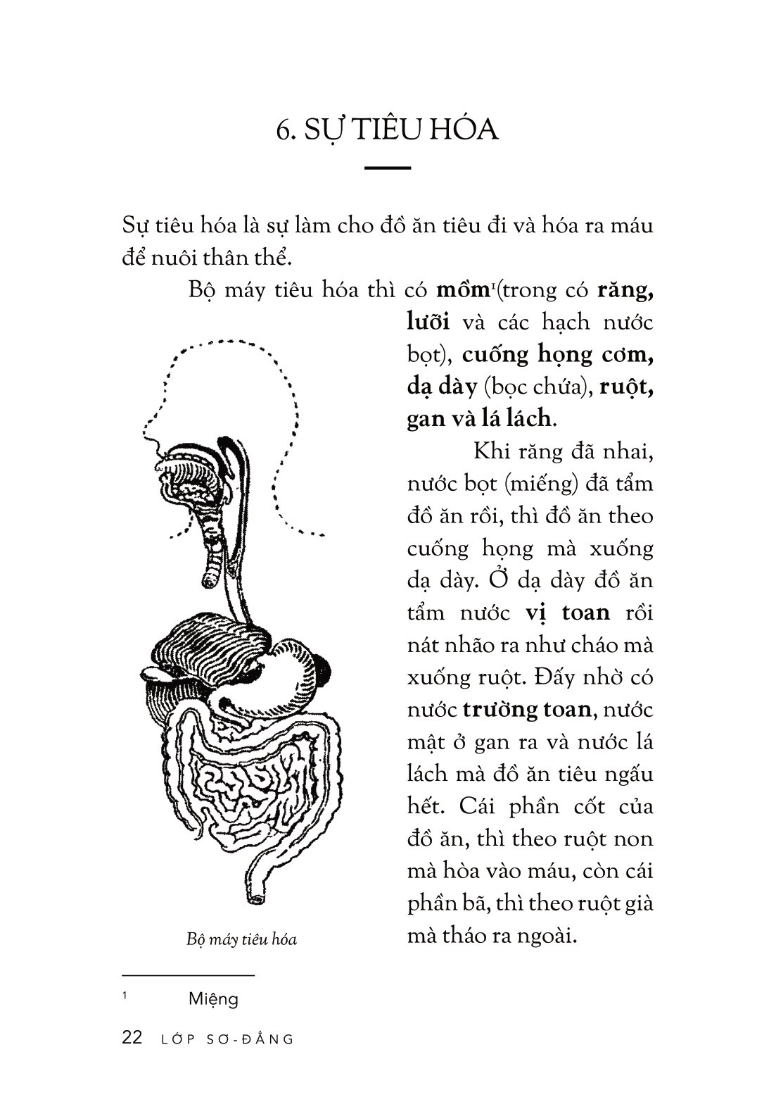 cách trí giáo khoa thư - Ảnh 18