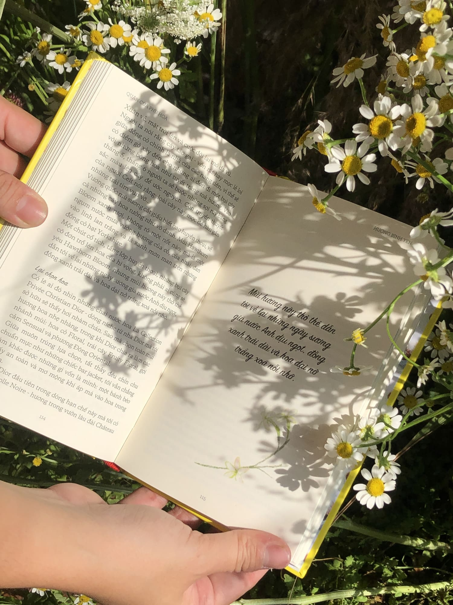 café nàng thơ - Ảnh 4