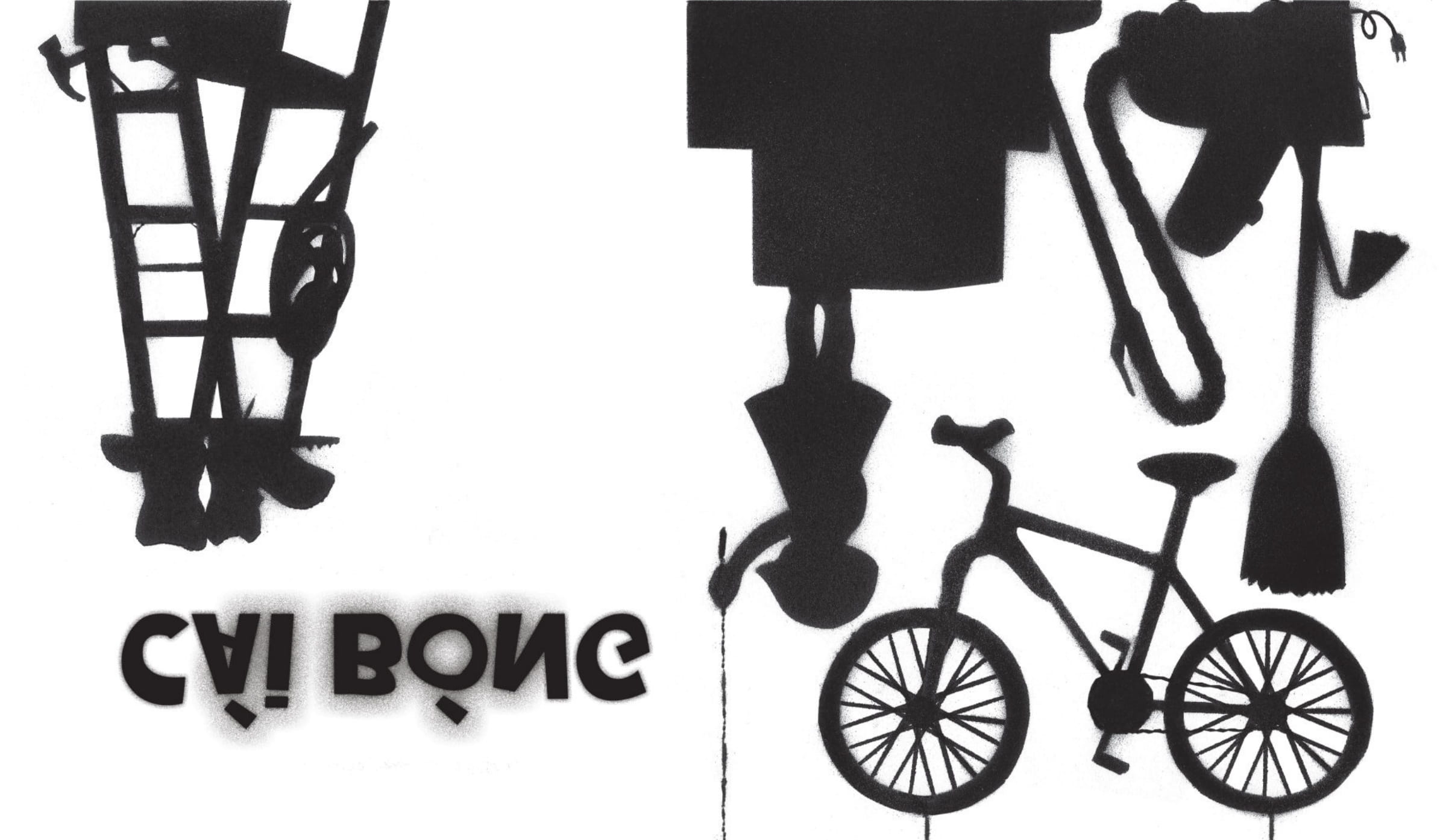 Cái Bóng - Bìa Cứng - Ảnh 4