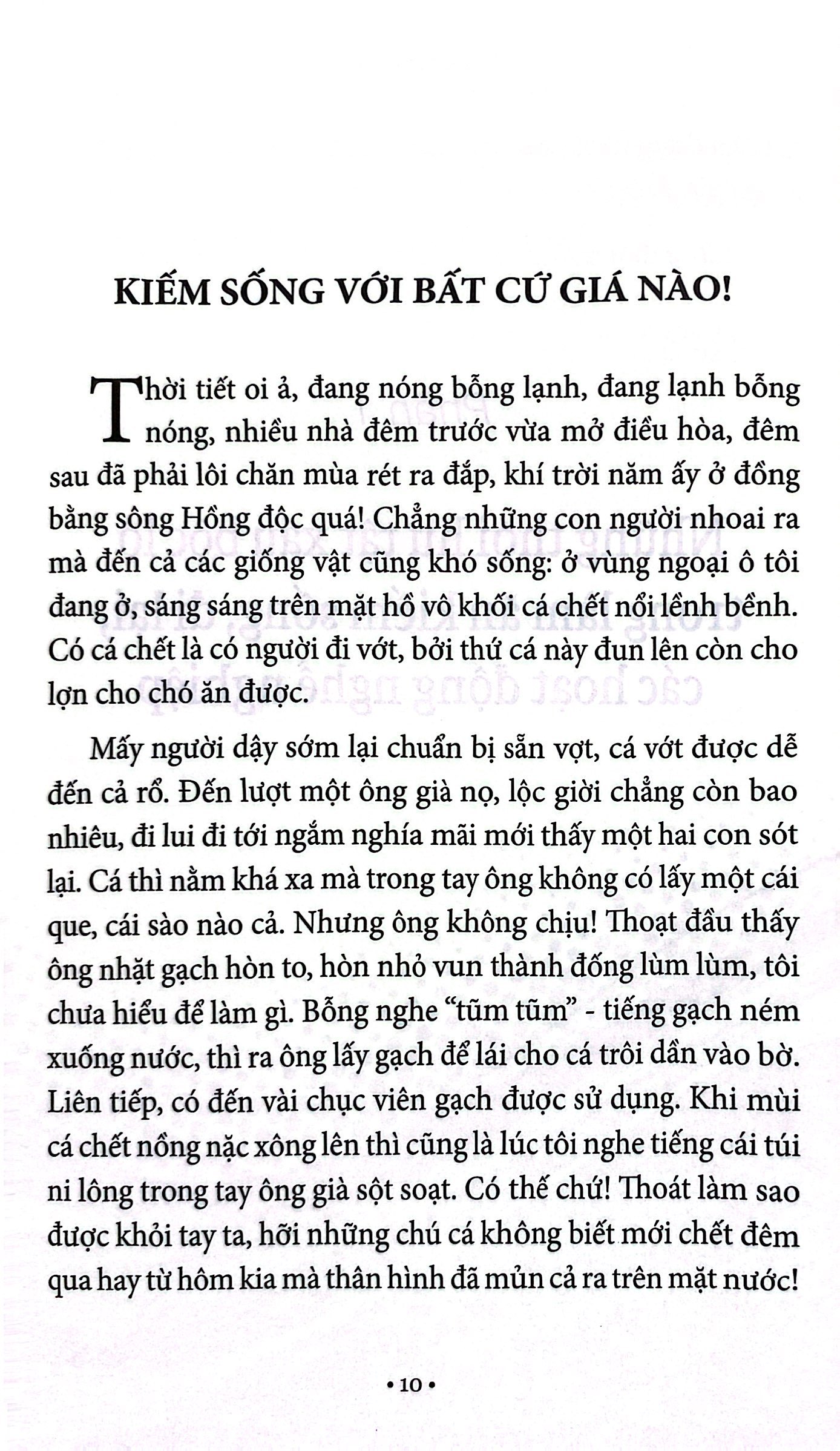 cái vội của người mình - Ảnh 7