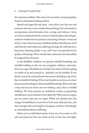 calming the fearful mind: a zen response to terrorism - Ảnh 10