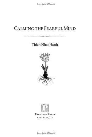 calming the fearful mind: a zen response to terrorism - Ảnh 4