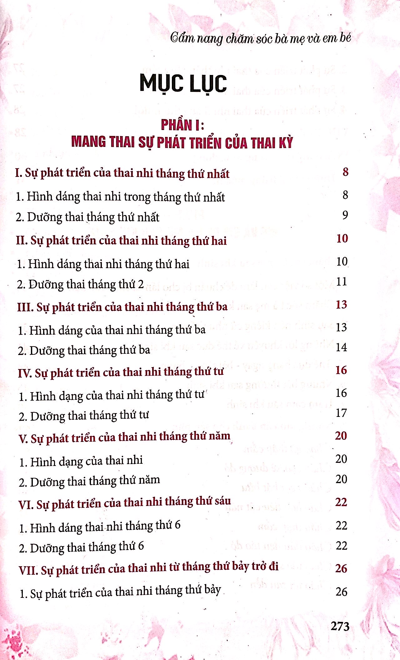 cẩm nang chăm sóc bà mẹ và em bé - Ảnh 3