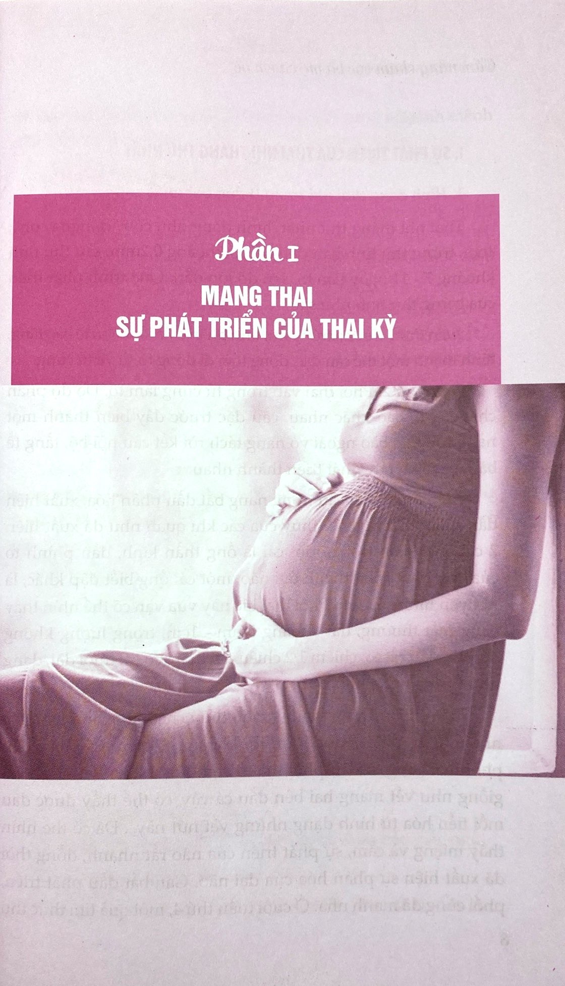 cẩm nang chăm sóc bà mẹ và em bé - Ảnh 5