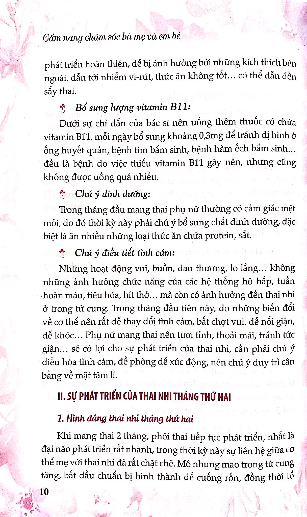 cẩm nang chăm sóc bà mẹ và em bé - Ảnh 8