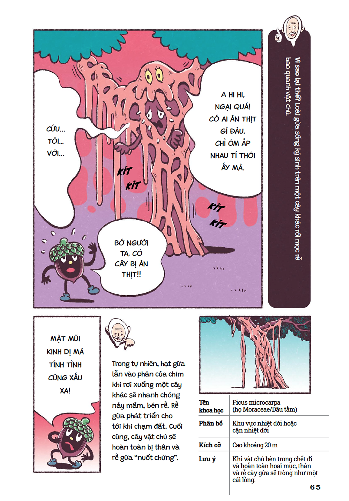 cẩm nang cỏ cây kỳ quái - Ảnh 4