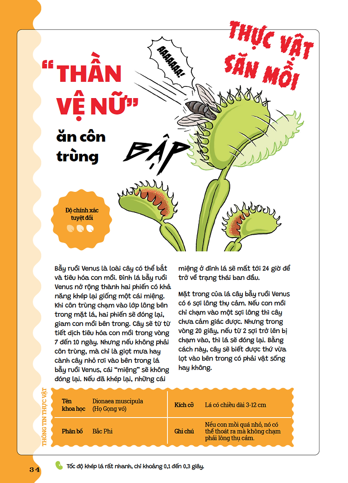 cẩm nang cỏ cây kỳ quái - Ảnh 5