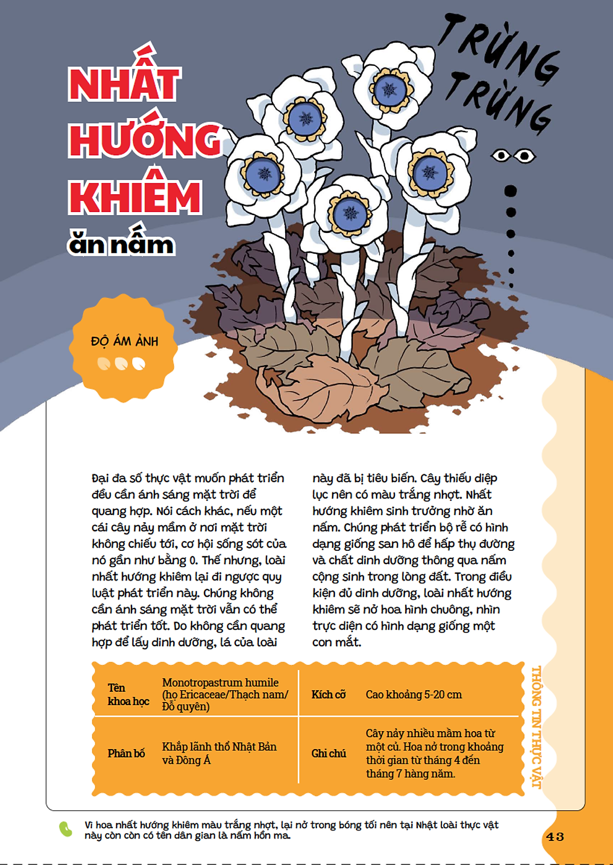 cẩm nang cỏ cây kỳ quái - Ảnh 6