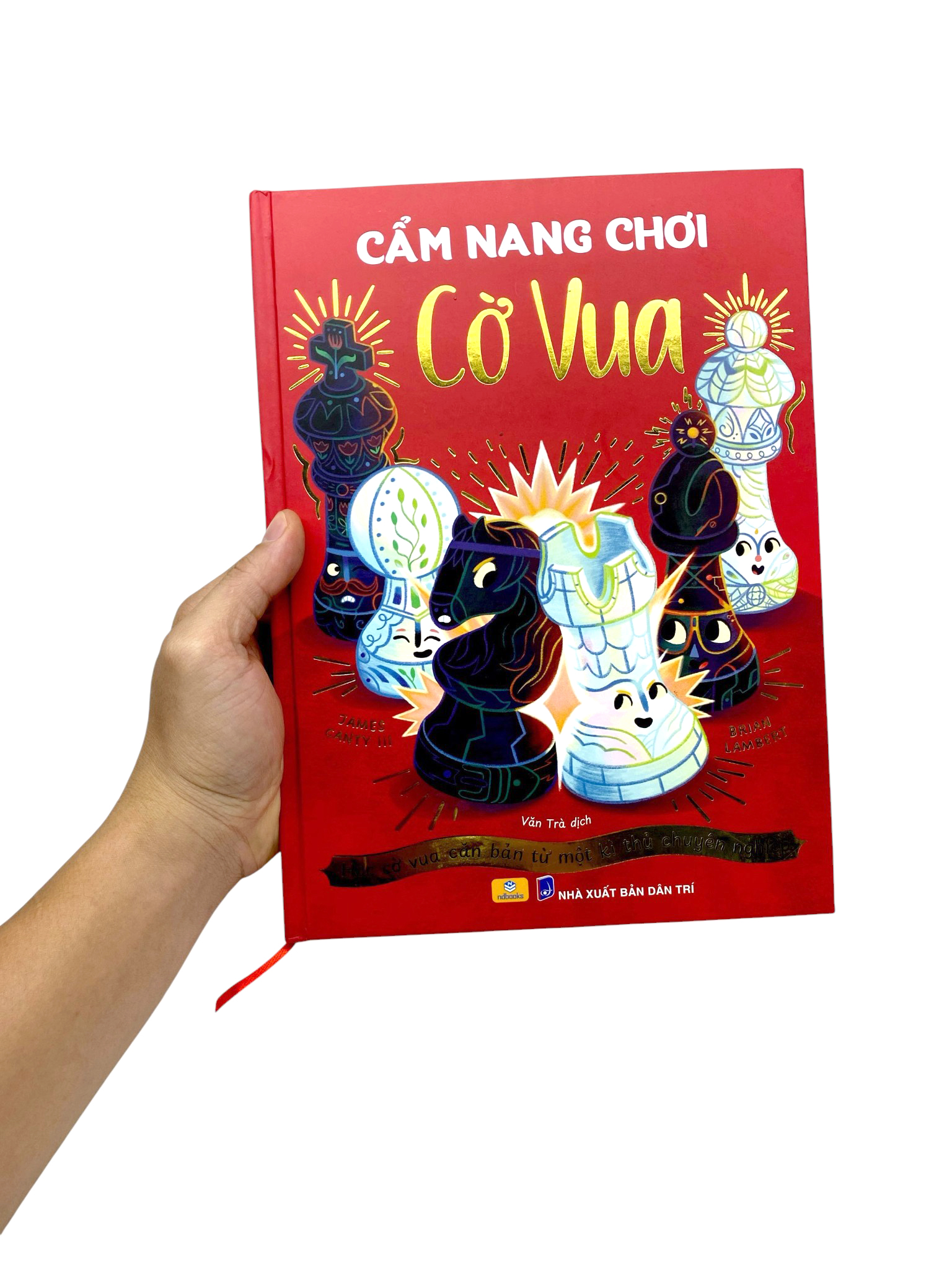Cam Nang Co Vua - Hoc Co Vua Can Ban Tu Mot Ki Thu Chuyen Nghiep - Bia Cung - Ảnh 8