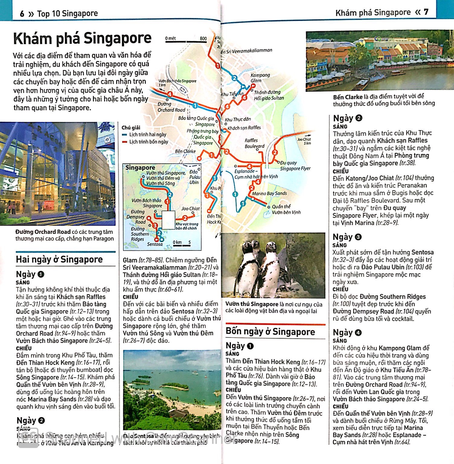 cẩm nang du lịch - top 10 singapore - Ảnh 4