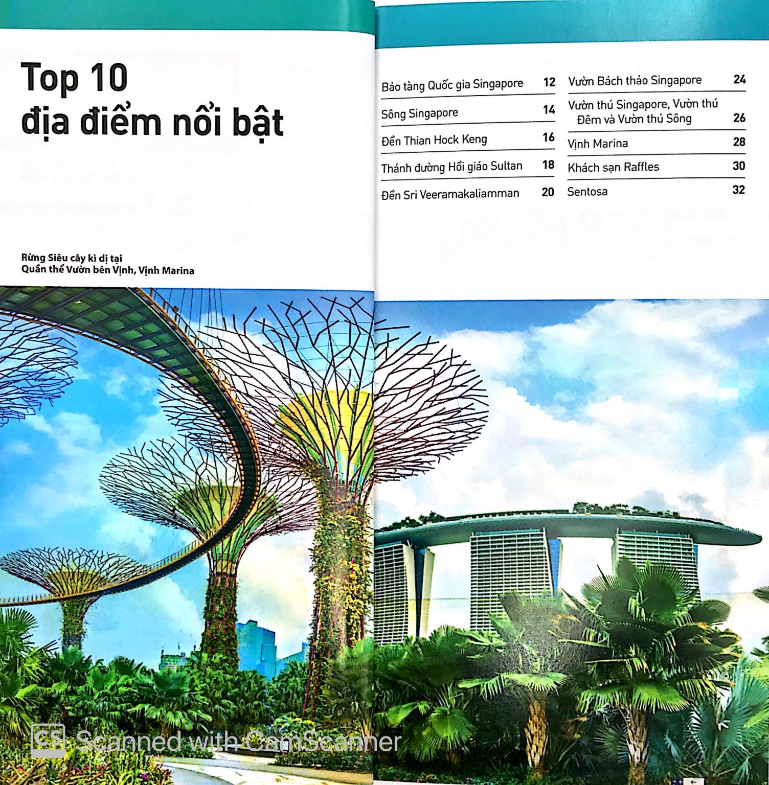cẩm nang du lịch - top 10 singapore - Ảnh 5