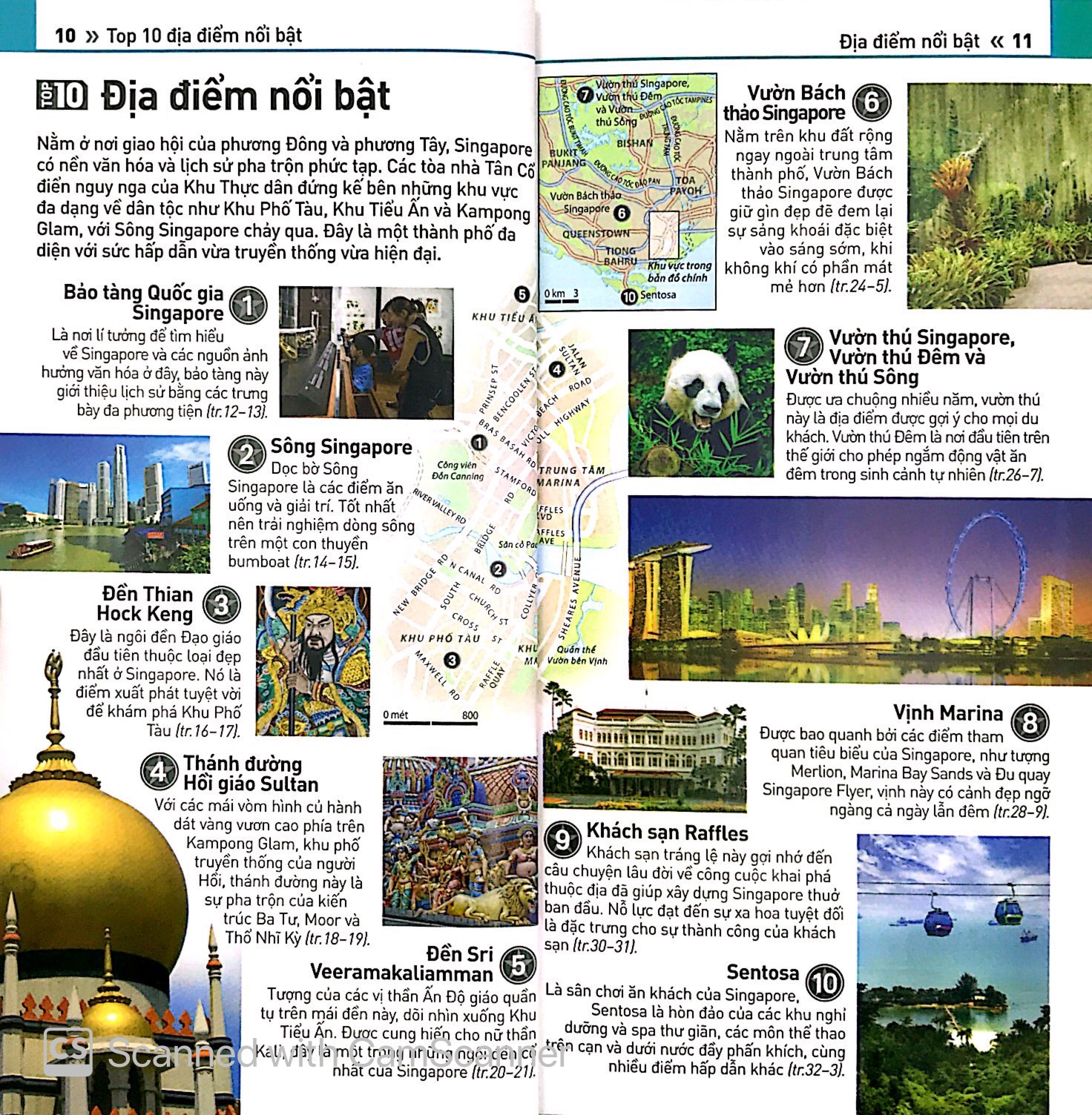 cẩm nang du lịch - top 10 singapore - Ảnh 6