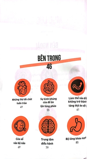 cẩm nang khám phá cơ thể người - Ảnh 6