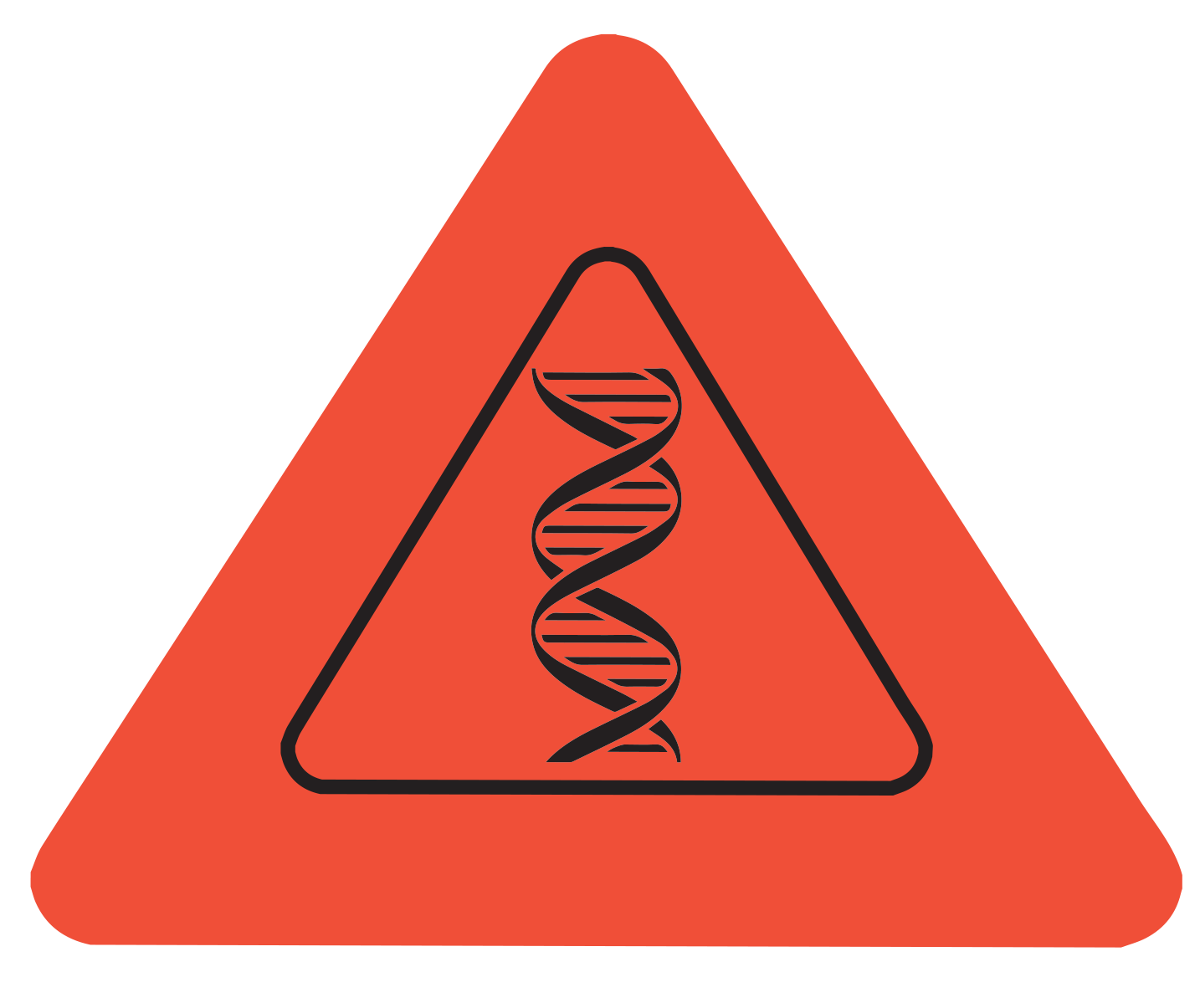 Cẩm Nang Khám Phá Cơ Thể Người (Tái Bản 2025) - Ảnh 5