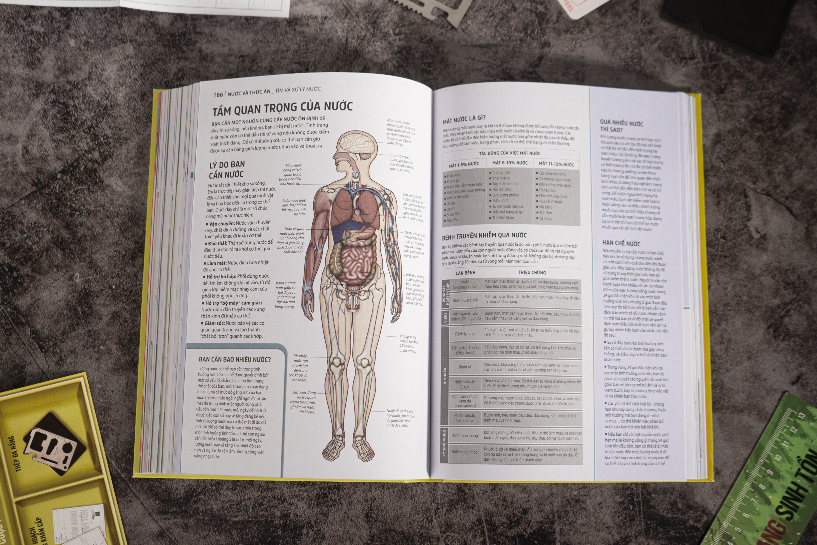 Cẩm Nang Sinh Tồn - Hơn 100 Kỹ Năng Sống Còn Cho Các Cuộc Phiêu Lưu Nơi Hoang Dã - Bìa Cứng - Tặng Kèm Bookmark + Thép Đa Năng + Bảng Kế Hoạch Hành Động Khẩn Cấp - Ảnh 16