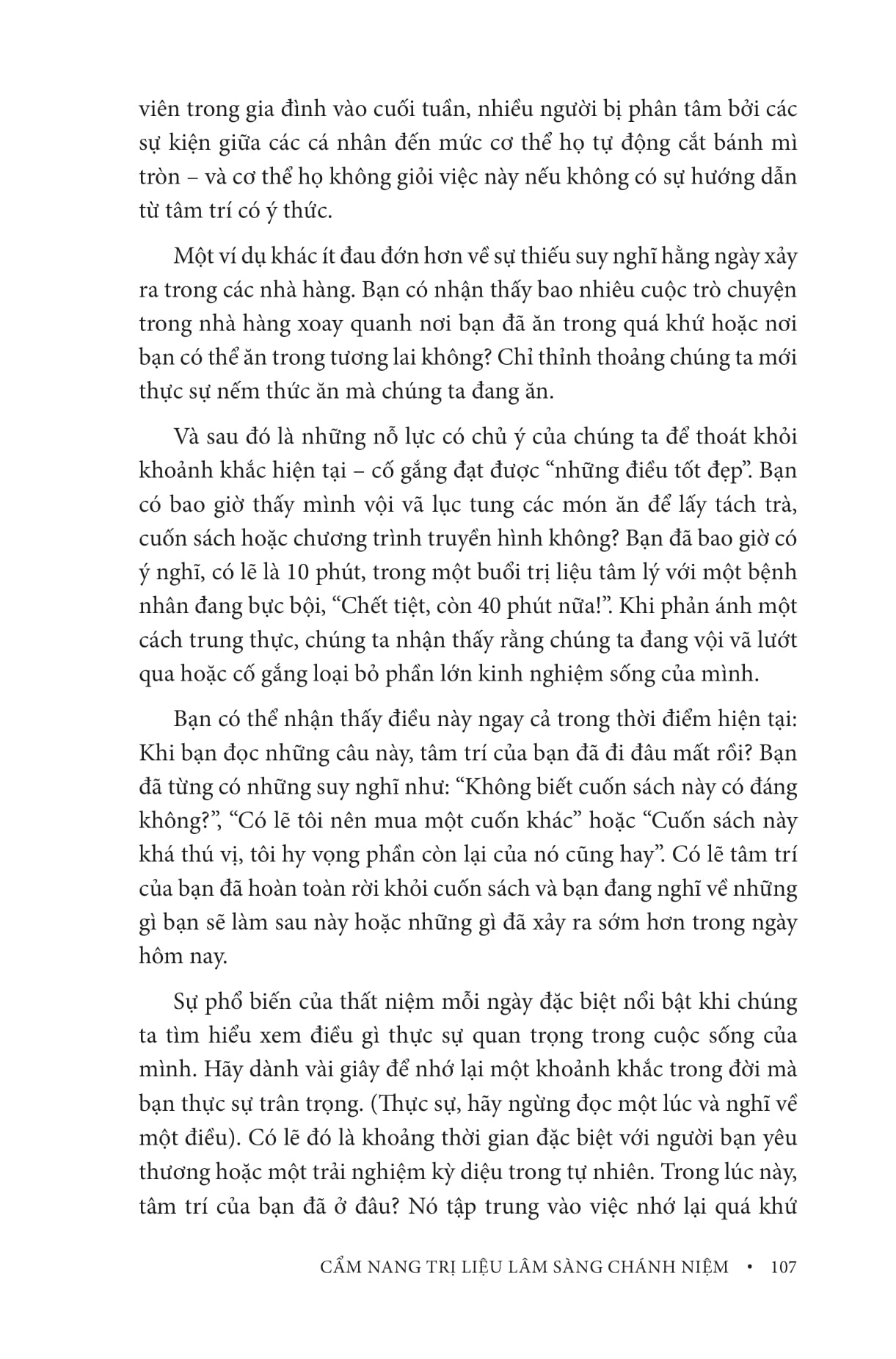 Cẩm Nang Trị Liệu Lâm Sàng Chánh Niệm - Ảnh 10
