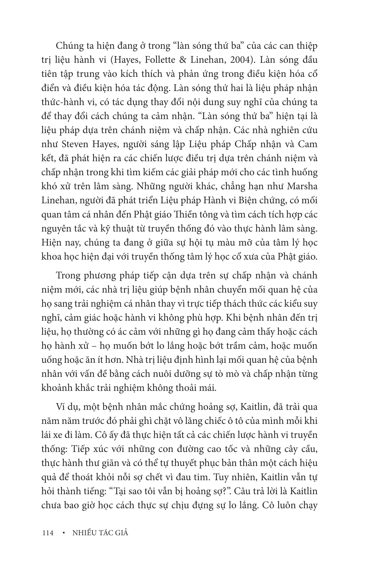 Cẩm Nang Trị Liệu Lâm Sàng Chánh Niệm - Ảnh 17