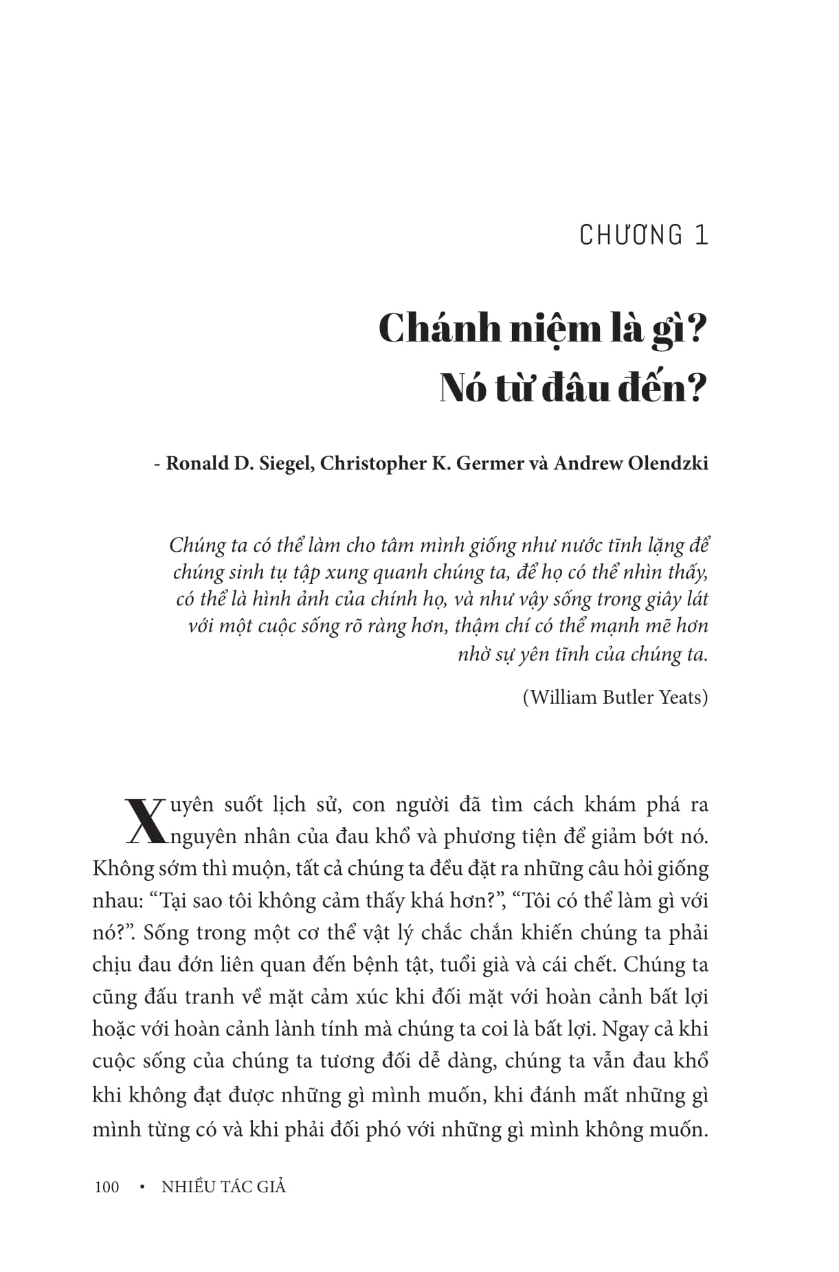 Cẩm Nang Trị Liệu Lâm Sàng Chánh Niệm - Ảnh 3