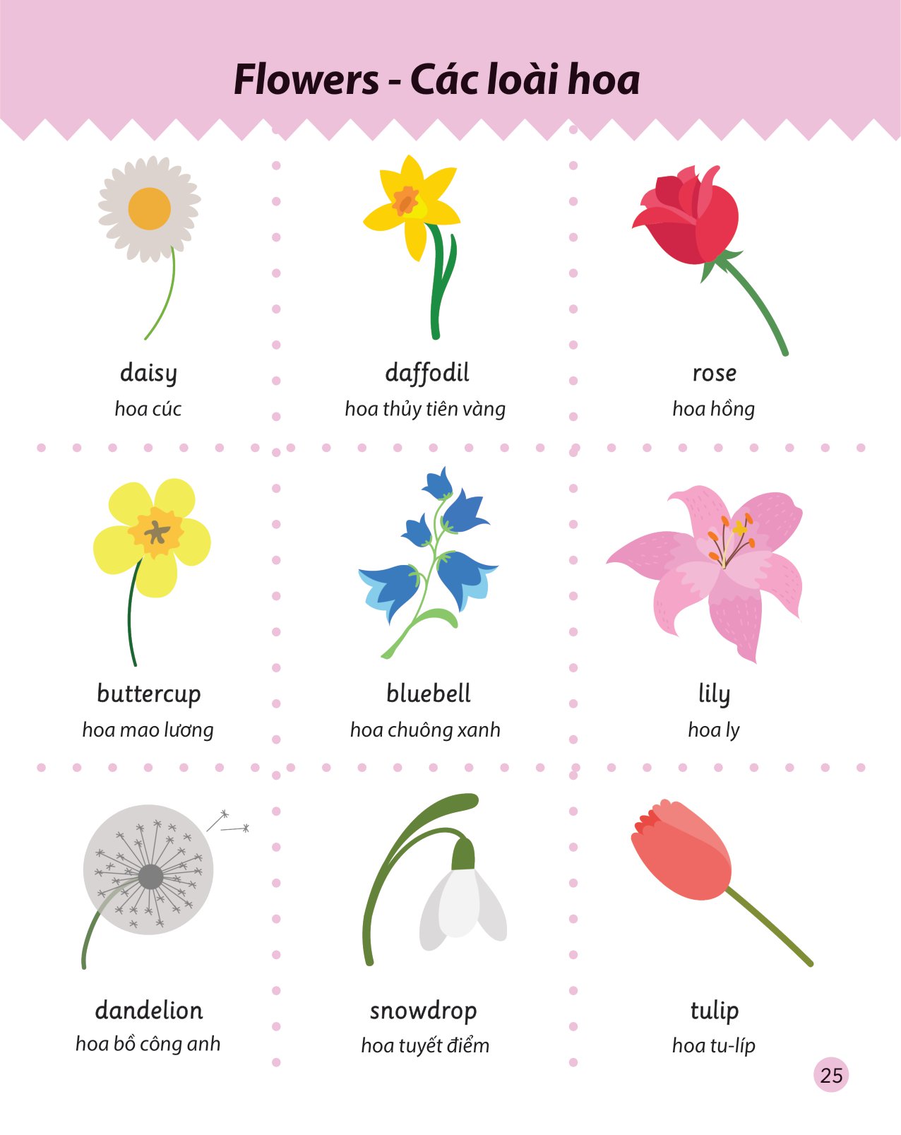 cẩm nang từ vựng tiếng anh cho trẻ em - Ảnh 12