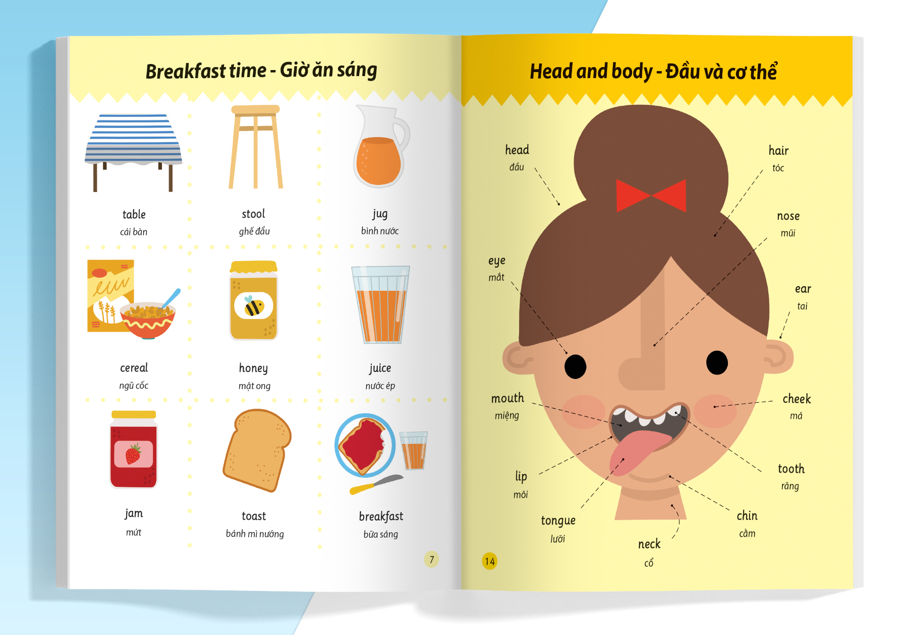 cẩm nang từ vựng tiếng anh cho trẻ em - Ảnh 6