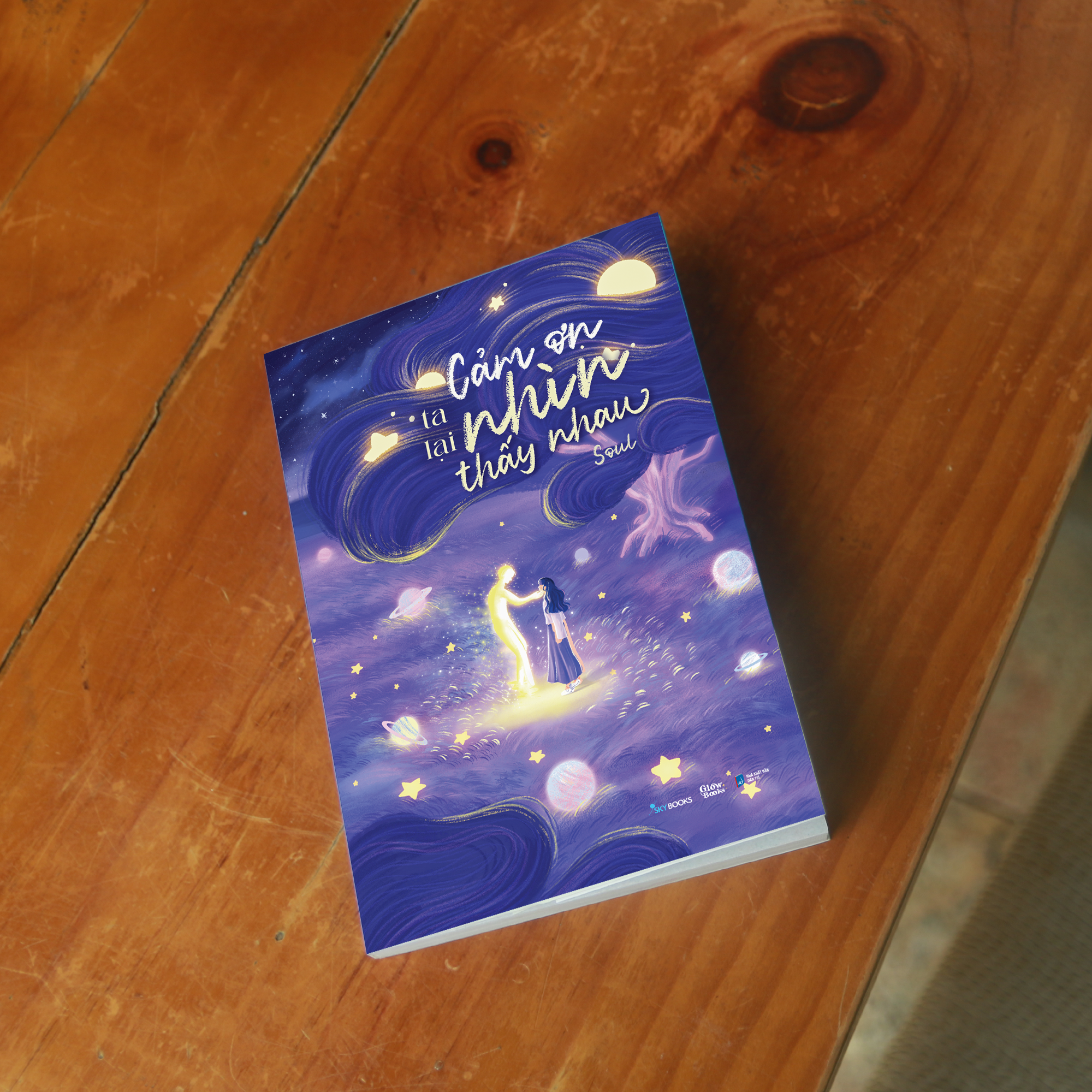 cảm ơn ta lại nhìn thấy nhau - Ảnh 4