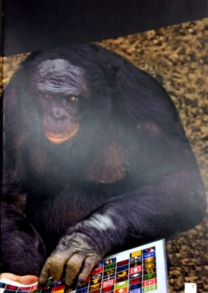 cambridge english empower advanced student's book - Ảnh 4