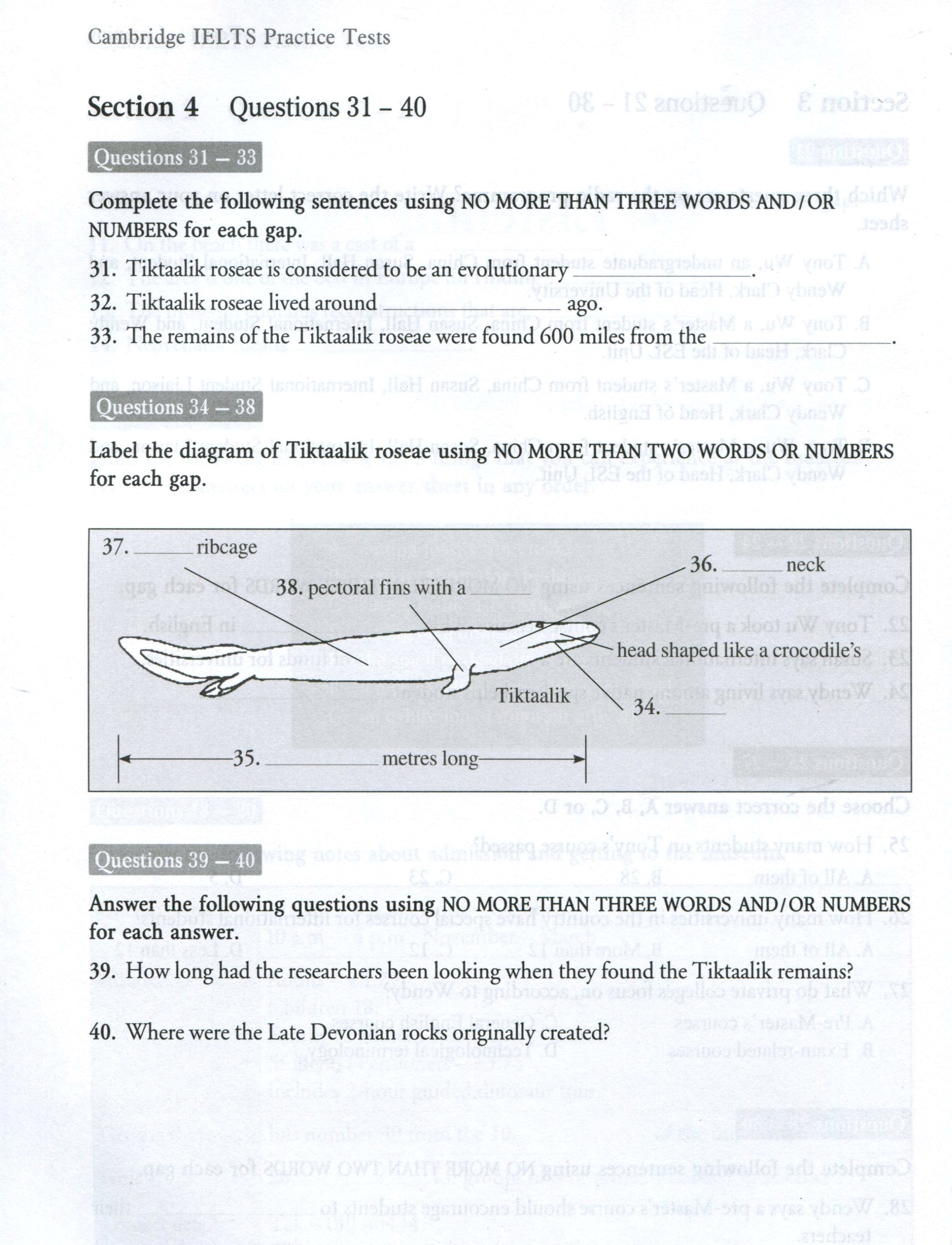 cambridge ielts practice tests - Ảnh 6
