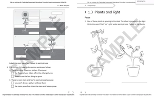 cambridge primary science workbook 1 with digital access (1 year) 2nd edition - Ảnh 5