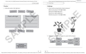 cambridge primary science workbook 1 with digital access (1 year) 2nd edition - Ảnh 9