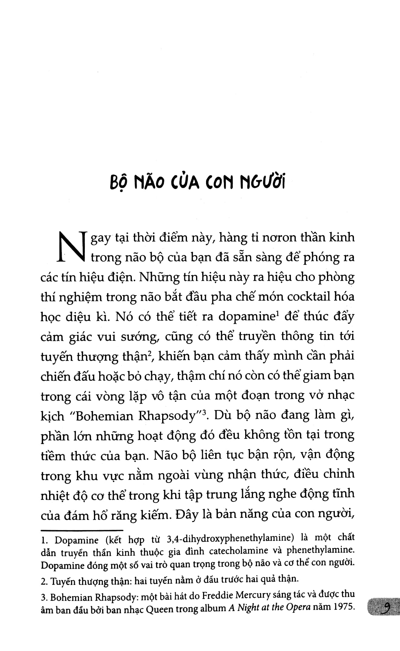 cân bằng cảm xúc, cả lúc bão giông (tái bản 2021) - Ảnh 5