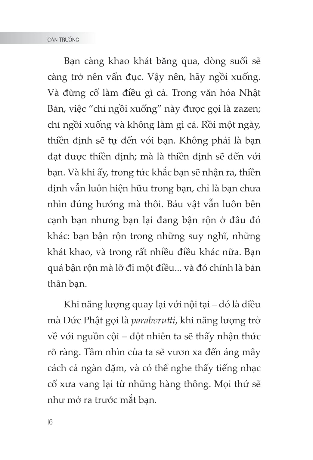 Can Trường - Ảnh 14