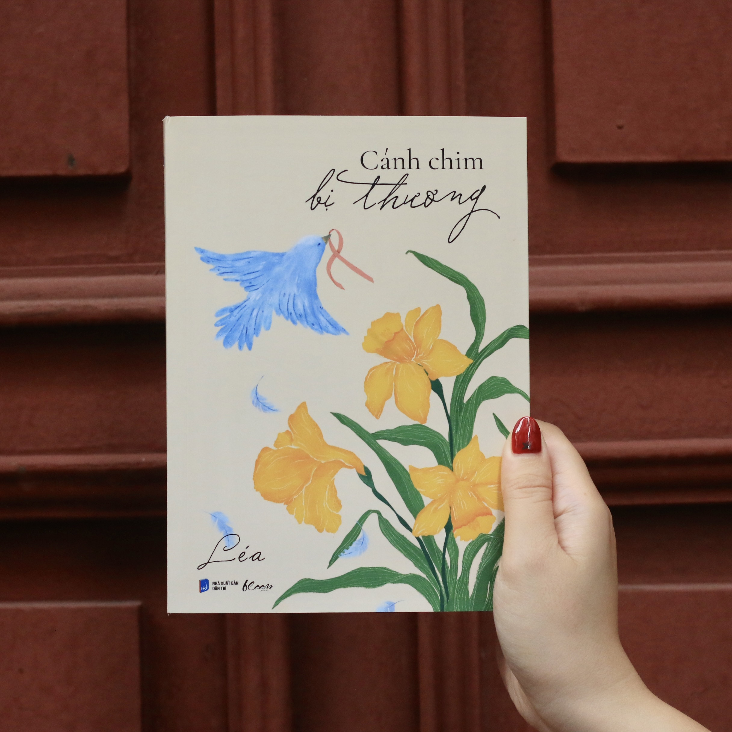 cánh chim bị thương - Ảnh 5