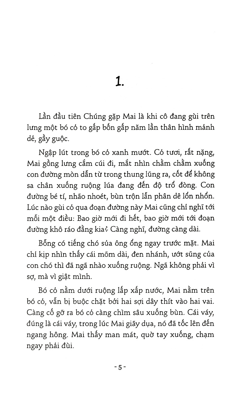 cánh chim kiêu hãnh - Ảnh 3