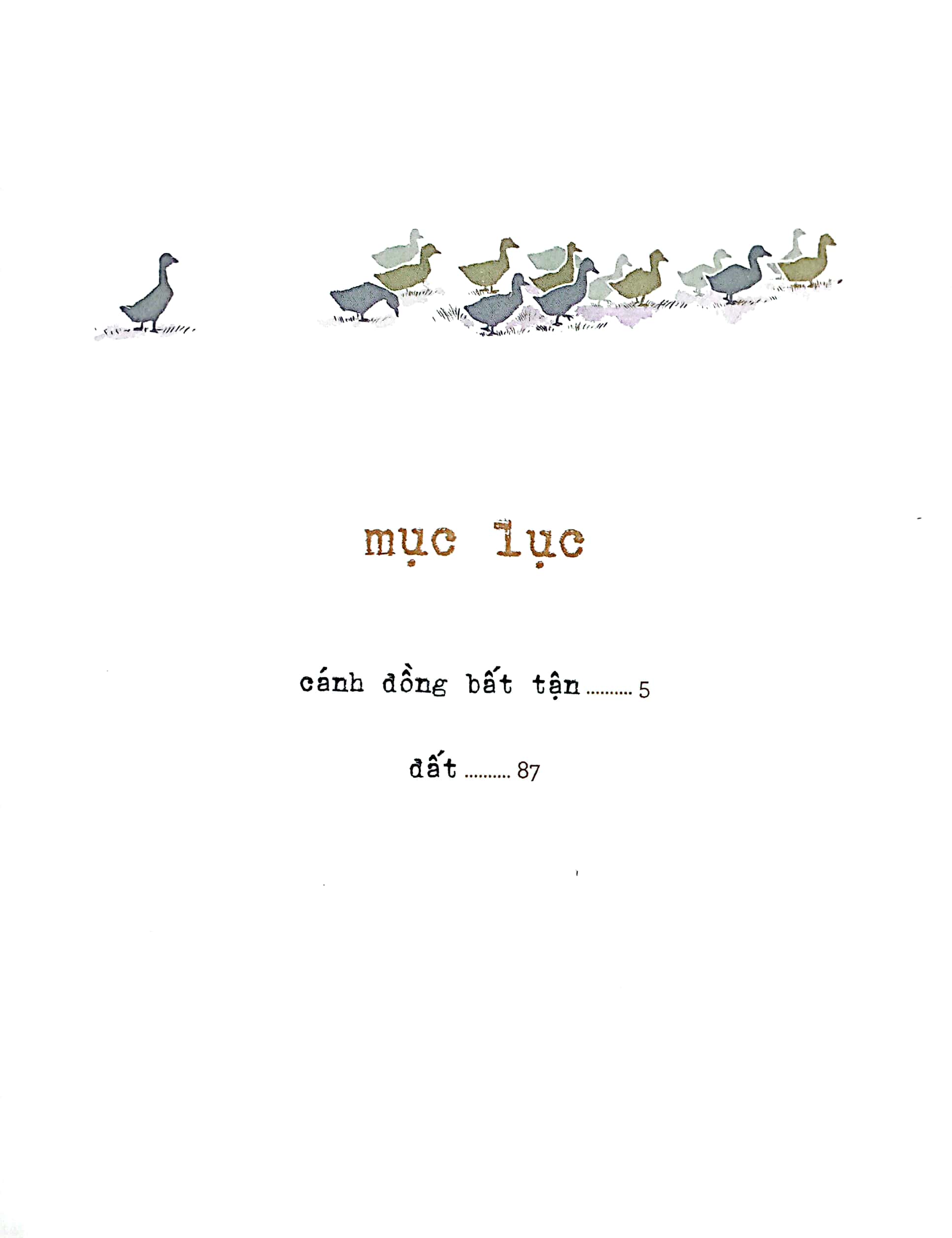 cánh đồng bất tận - phiên bản đặc biệt - Ảnh 4