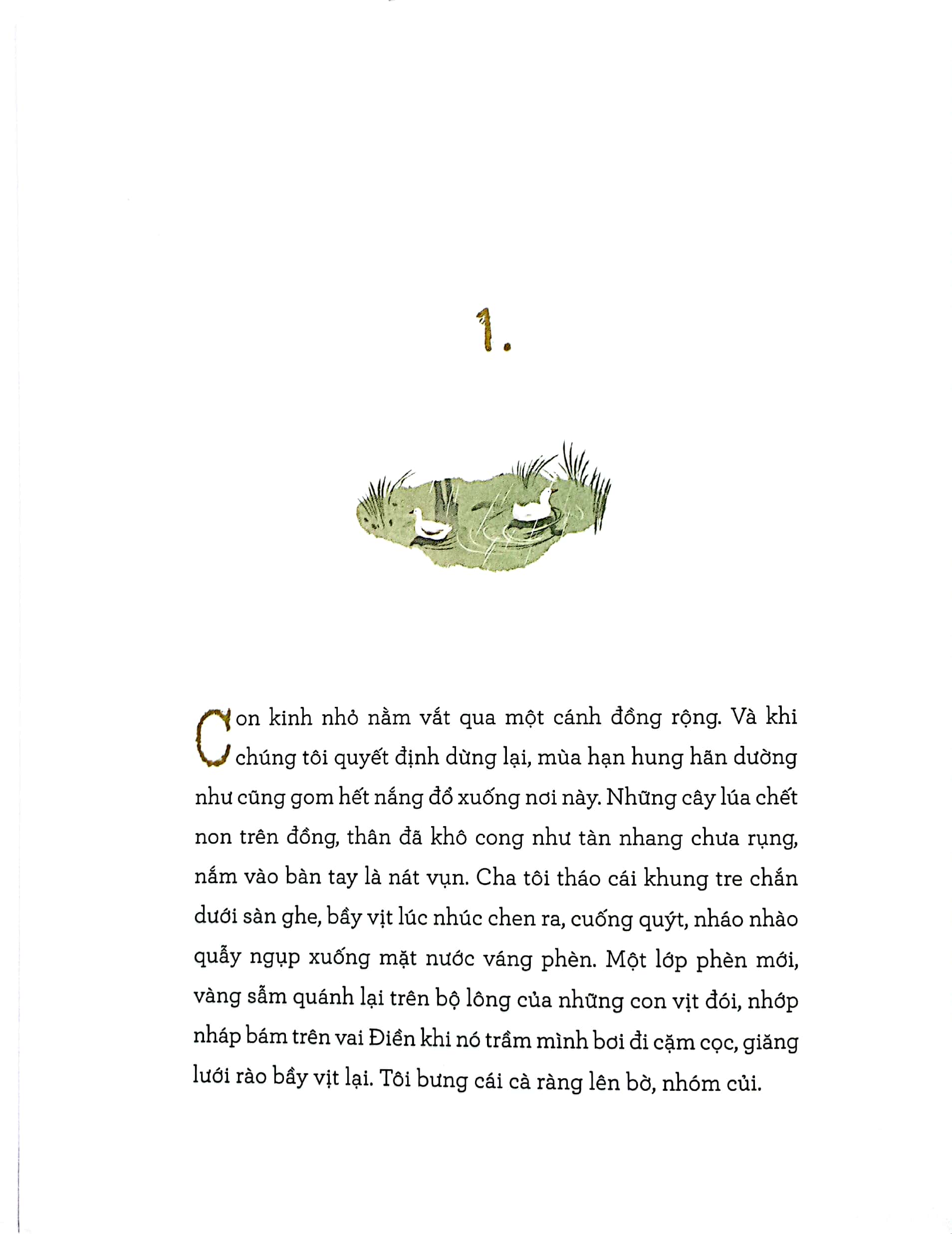 cánh đồng bất tận - phiên bản đặc biệt - Ảnh 5