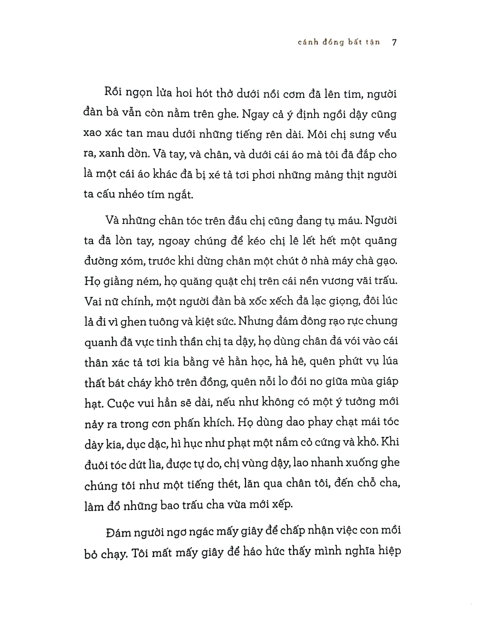 cánh đồng bất tận - phiên bản đặc biệt - Ảnh 6
